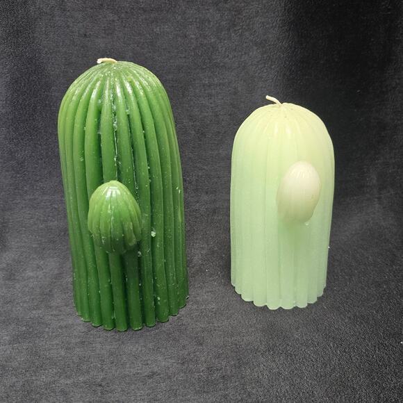 Garden Party Saguaro Cactus Candle  - 24 oz & 16 oz - Picture 5 of 9